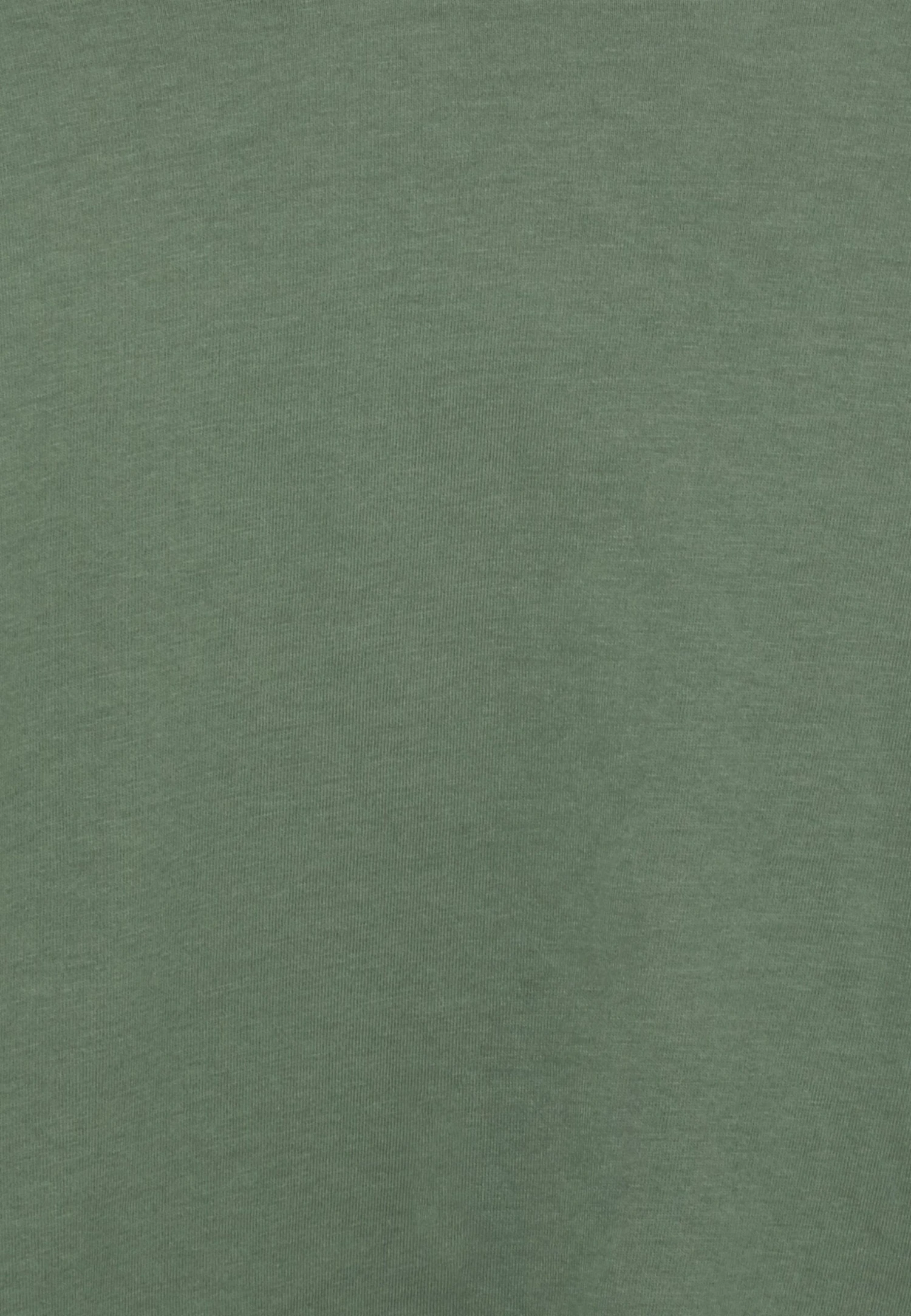 Vero Moda Curve O Neck - T-Shirt Basic - Laurel Wreath 5 Vero Moda Curve O Neck - T-Shirt Basic - Laurel Wreath - Afbeelding 3